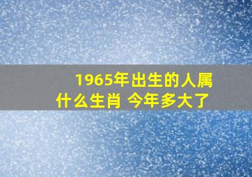 1965年出生的人属什么生肖 今年多大了